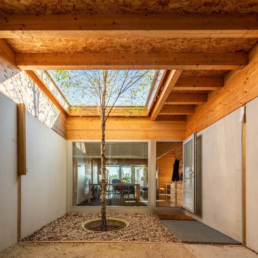Patio interior con un árbol bajo un lucernario, estructura de madera y paños vidriados